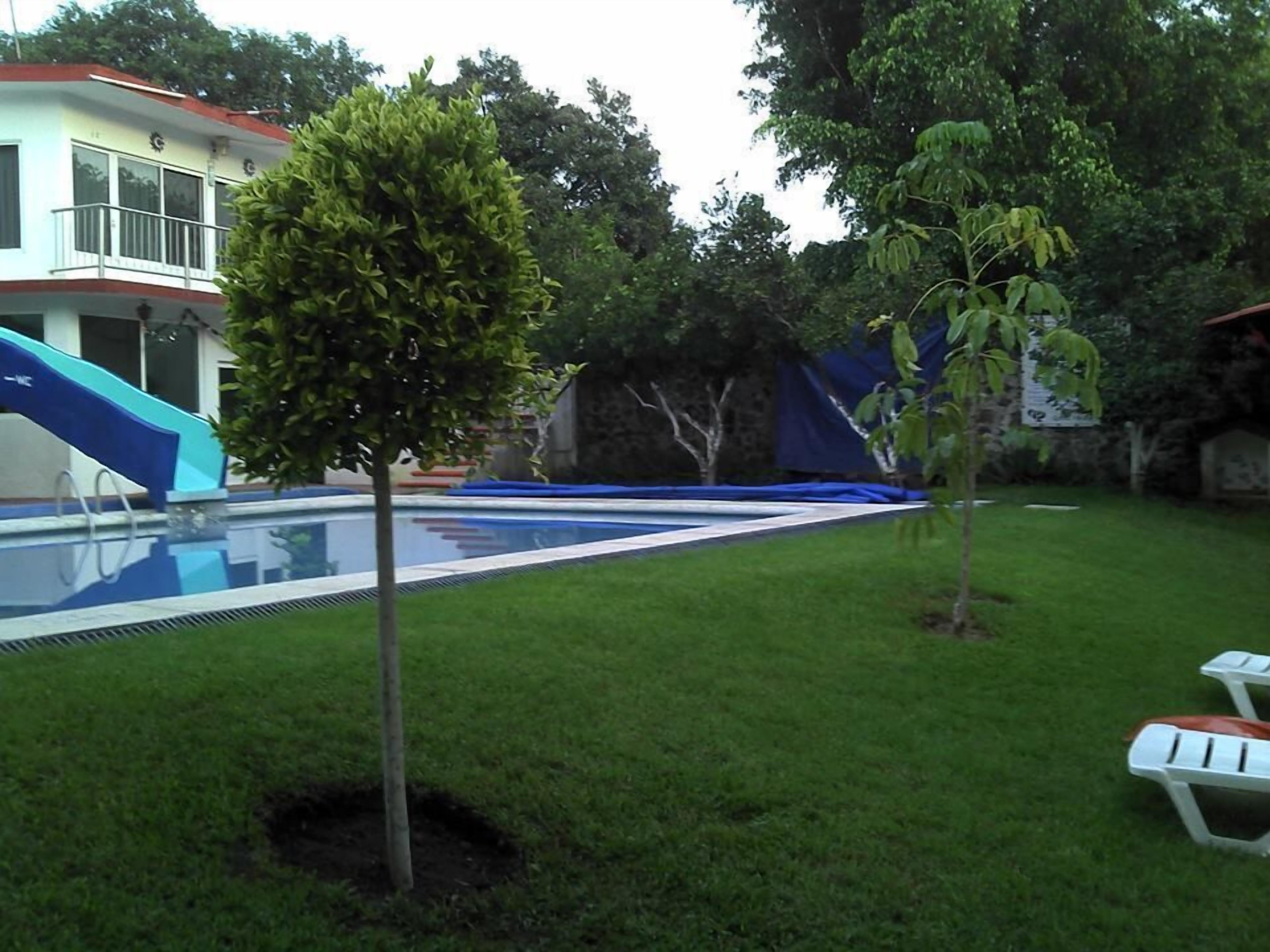 Un jardin avec une piscine, un toboggan et un petit arbre.