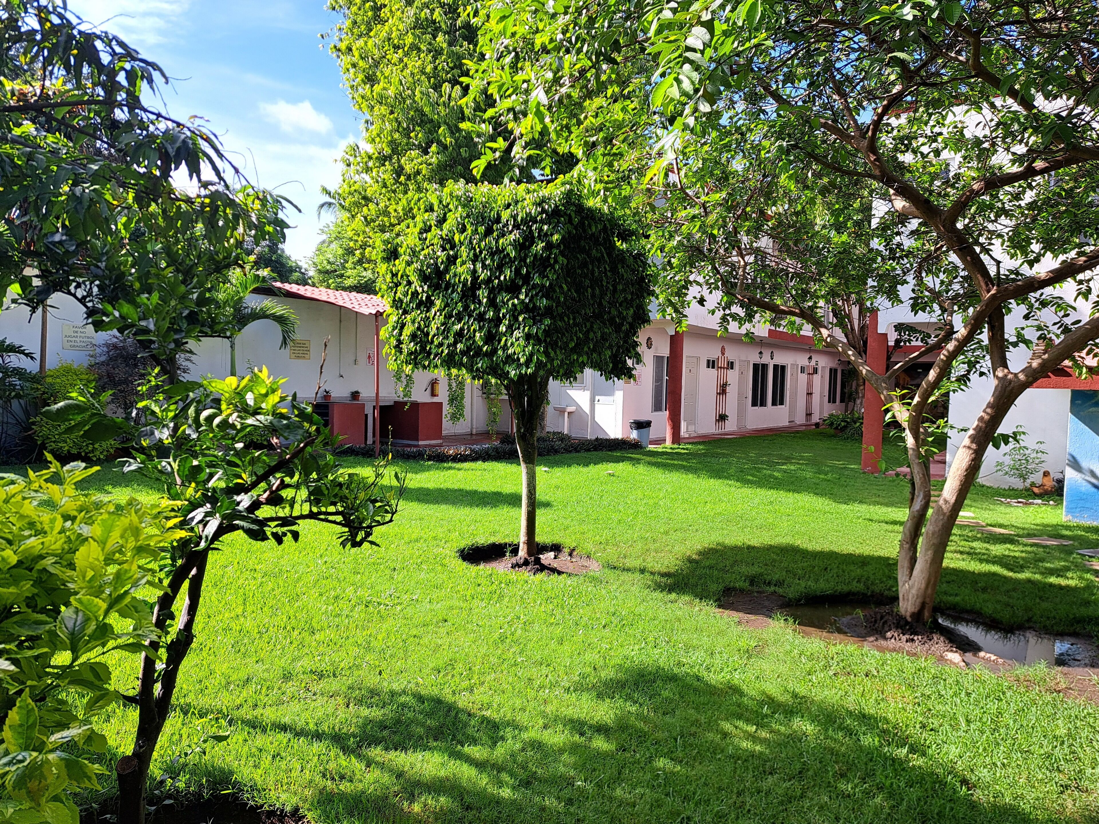 A well-maintained grassy area with a single tree and a building with a red roof and white walls.