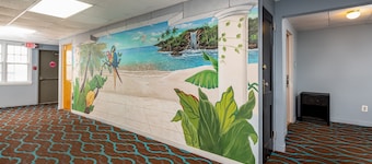 Hammock Inn & Suites - Jersey Shore