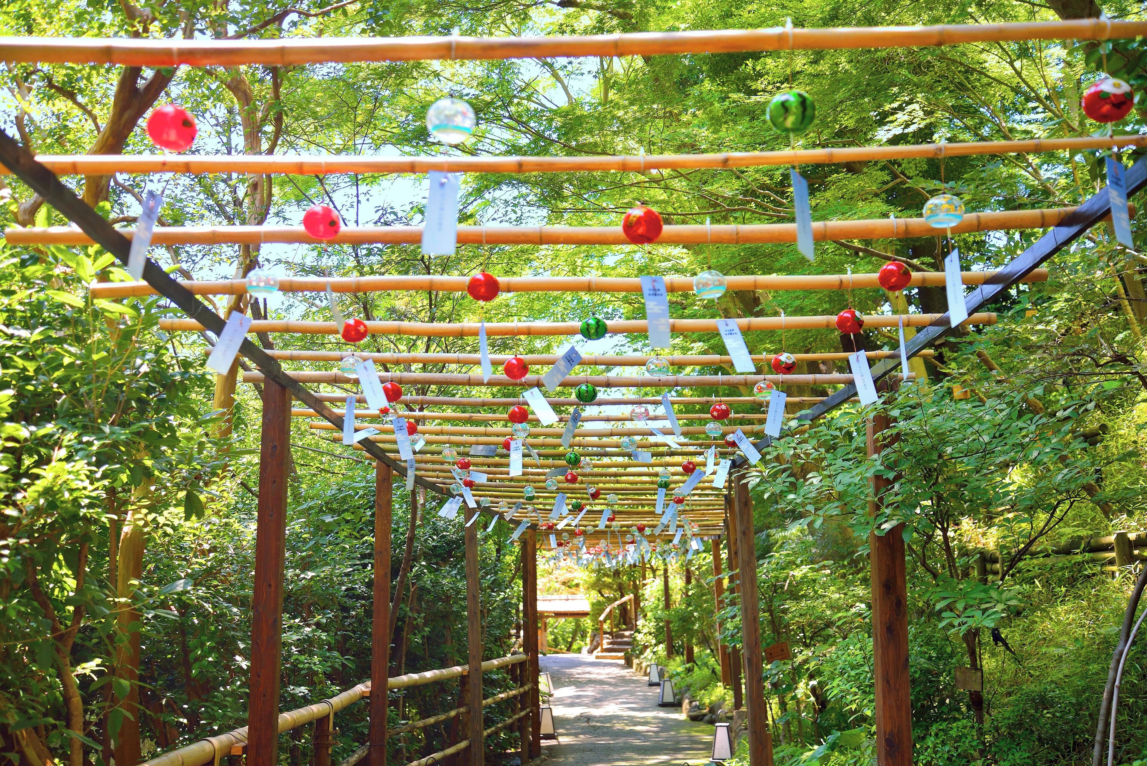Una estructura de pérgola de madera con vigas horizontales y adornos colgantes en un entorno verde y exuberante.