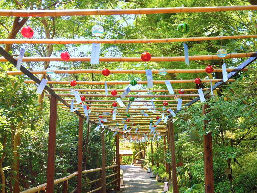 Una estructura de pérgola de madera con vigas horizontales y adornos colgantes en un entorno verde y exuberante.