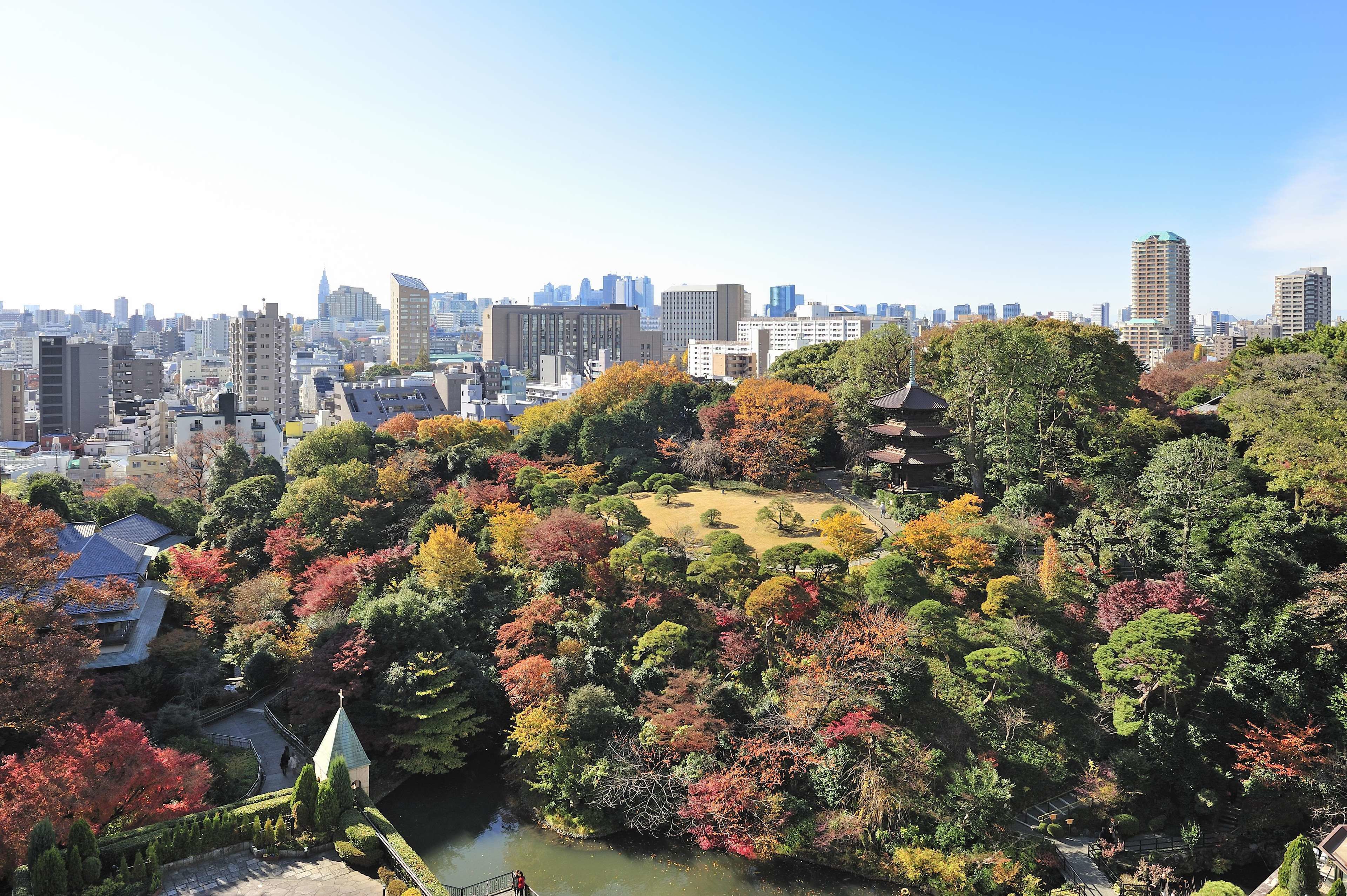 A cityscape with a park featuring autumn foliage and traditional architecture.