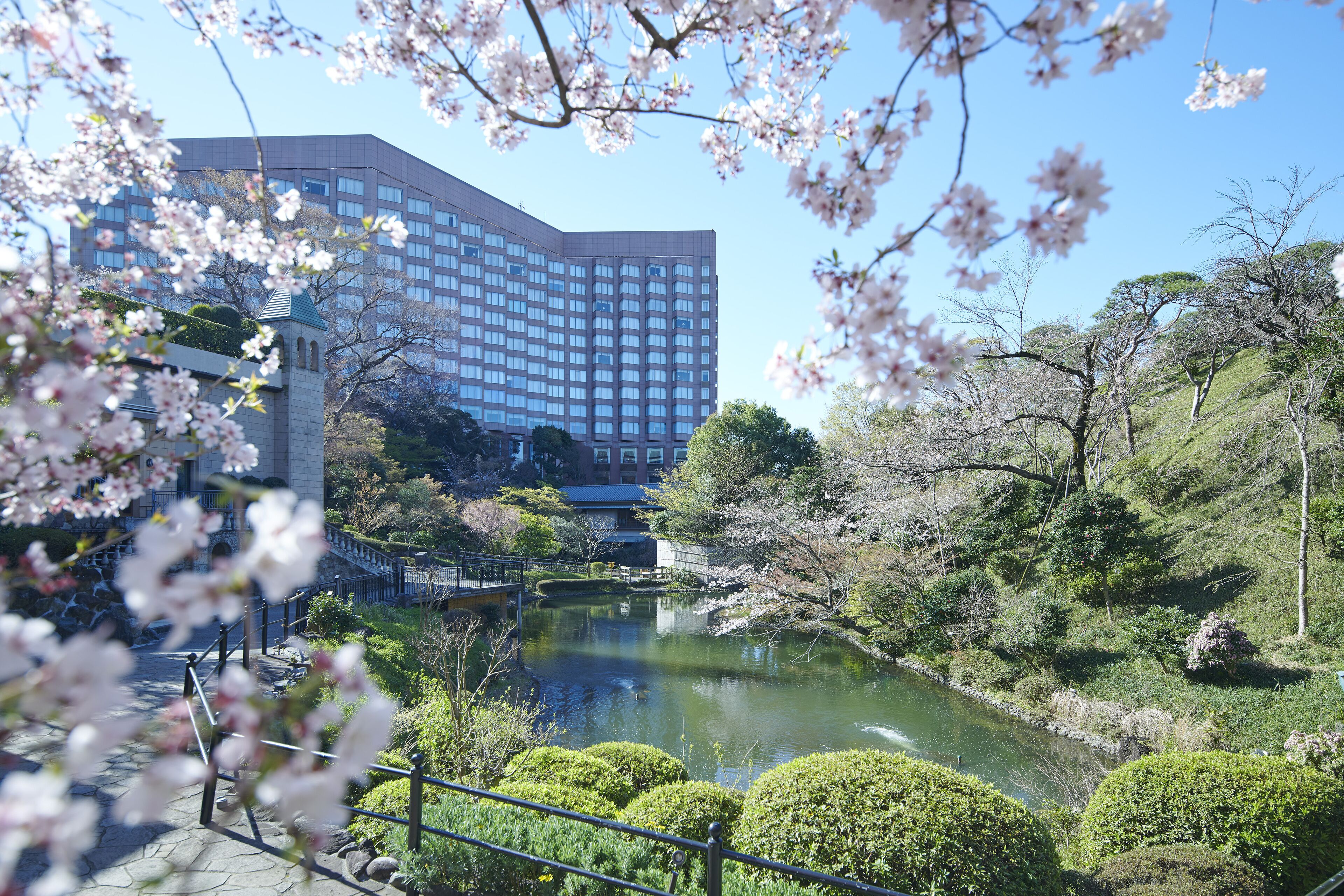 Un parco tranquillo con uno stagno, fiori di ciliegio e un edificio moderno sullo sfondo.
