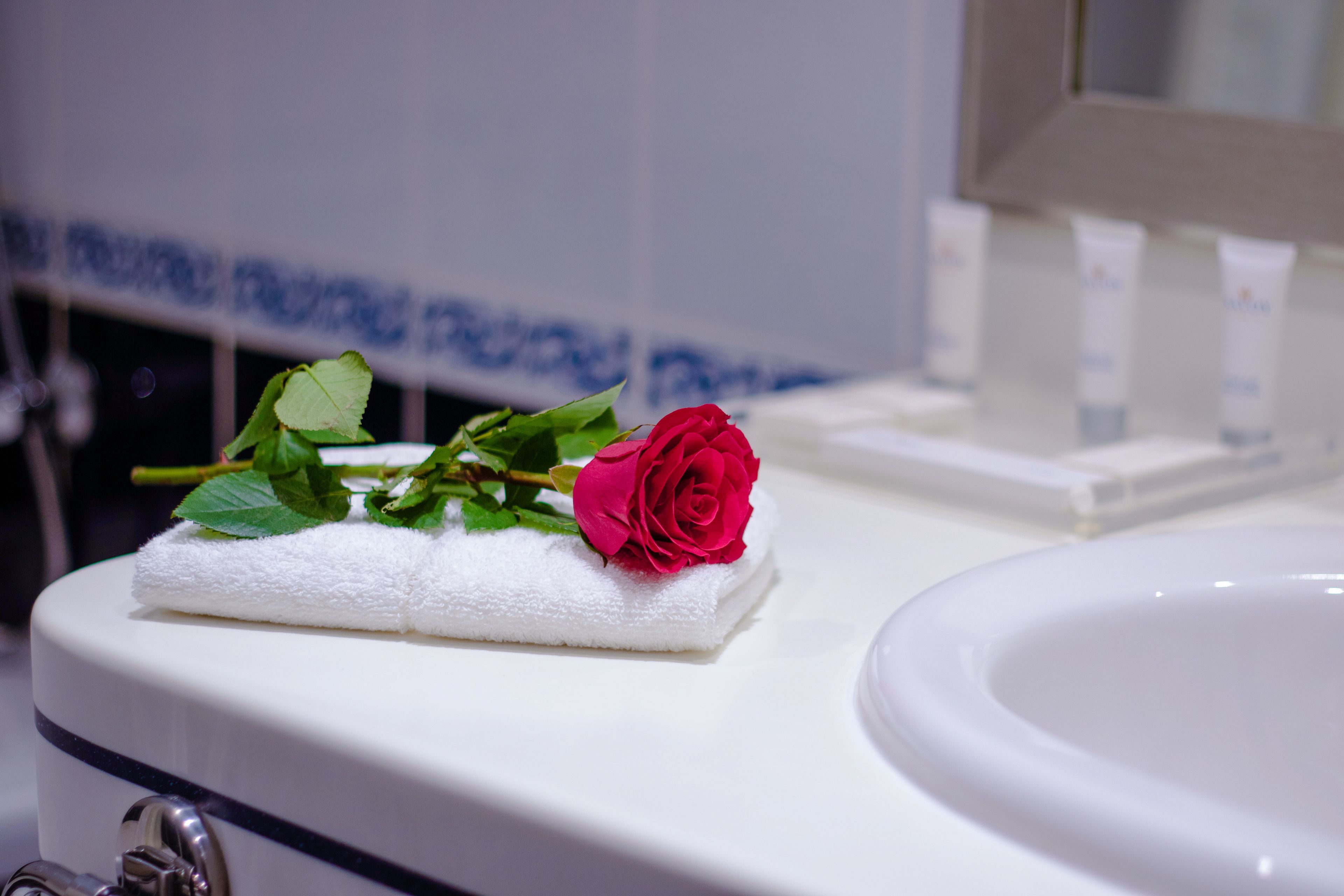 A bathroom with a white sink and a towel with a rose on it.