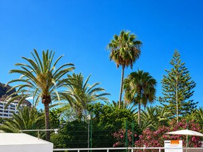 A hotel with a fenced outdoor area, palm trees, and a clear blue sky. - Leticia Del Mar (Mogan)