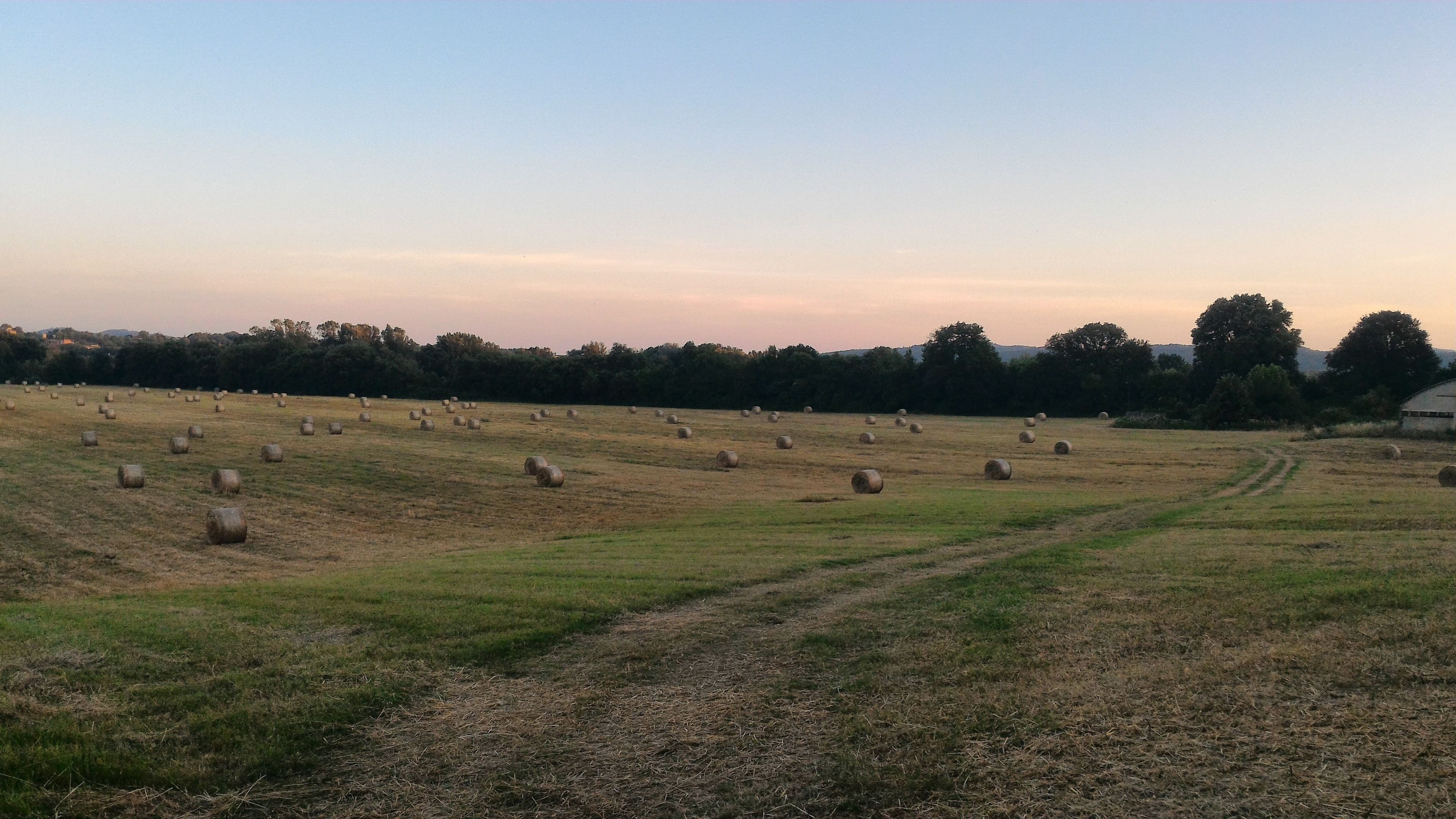 A field with hay bales and a dirt path leading to a building.