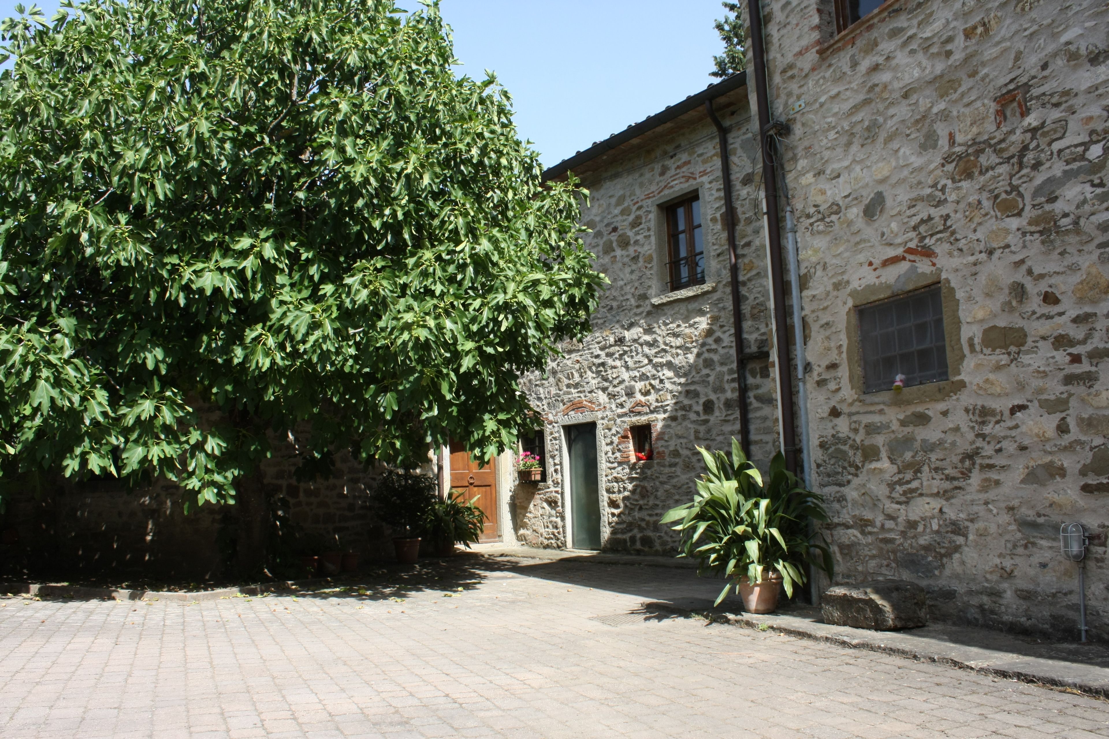Foto - Villa La Nussa