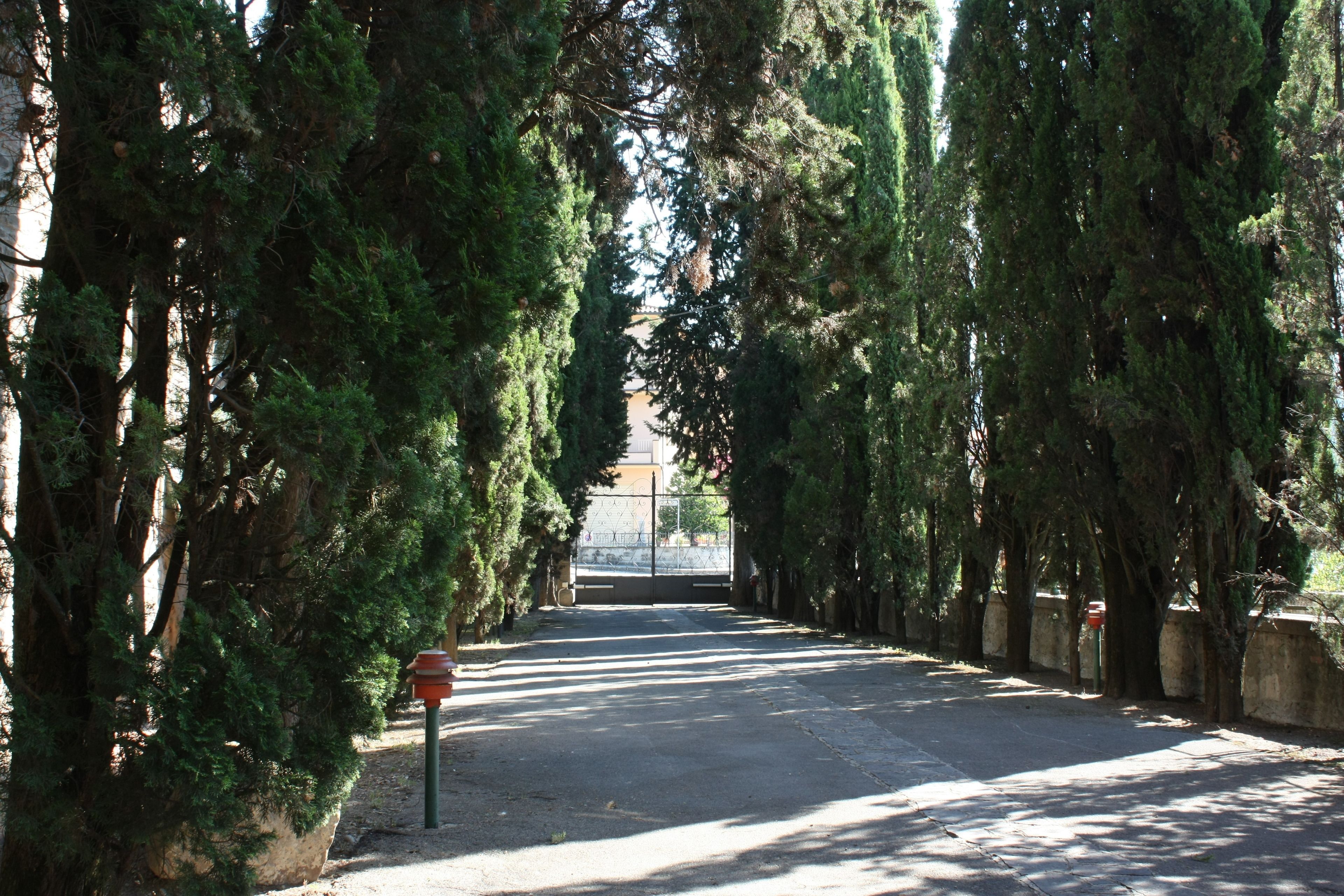 Foto - Villa La Nussa