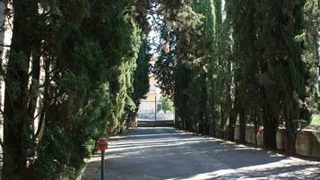 A tree-lined pathway leading to a building entrance.