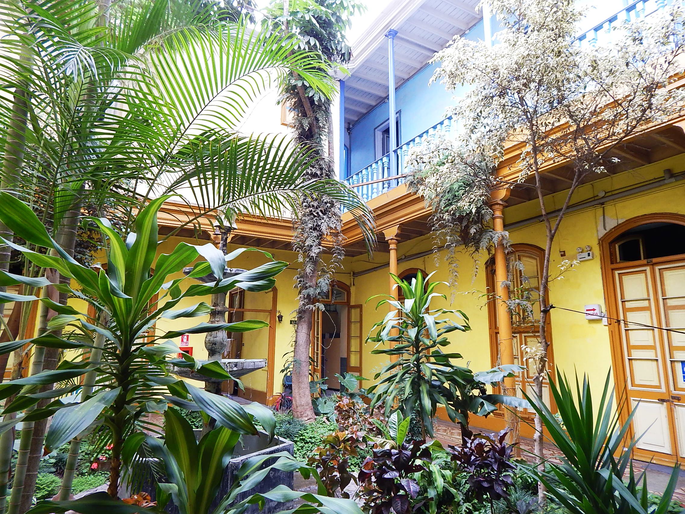Un patio con un edificio amarillo, una fuente y diversas plantas tropicales.