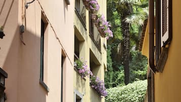 Detalle del exterior