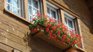 Un edificio de madera con tres ventanas y una caja de flores con flores rojas.
