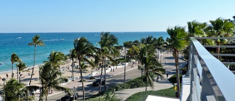 A beachfront view with palm trees, a beach, and the ocean.