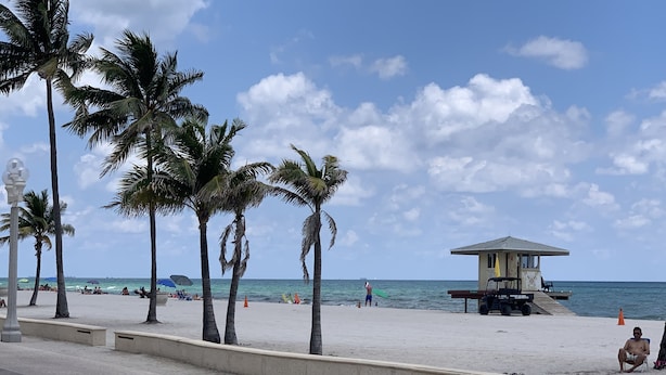 A beach with palm trees, a lifeguard tower, and a lifeguard chair. - Hollywood Beach Seagull (Hollywood)