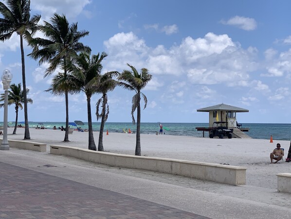 Exterior - Hollywood Beach Seagull (Hollywood)