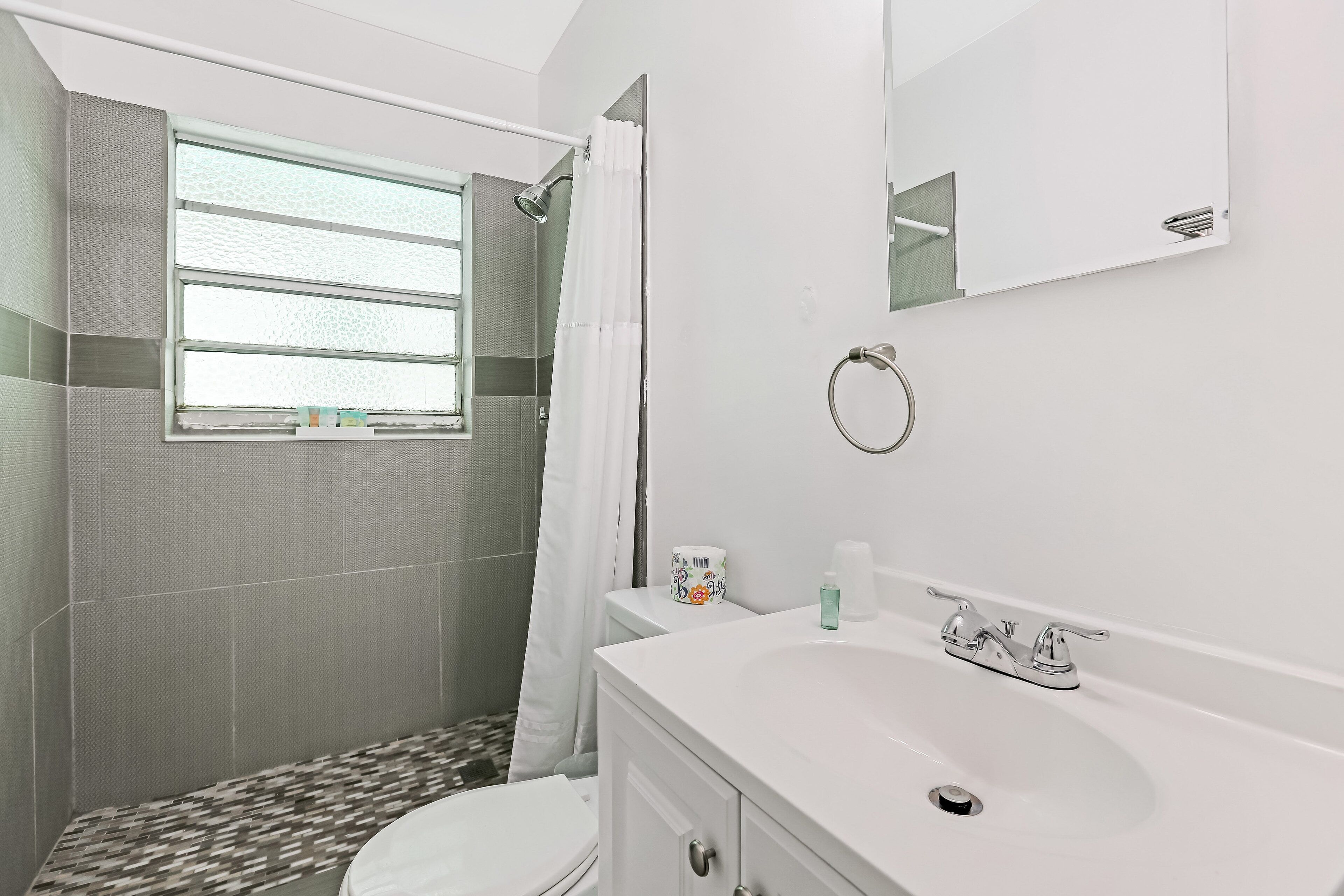 Hollywood Beach Seagull