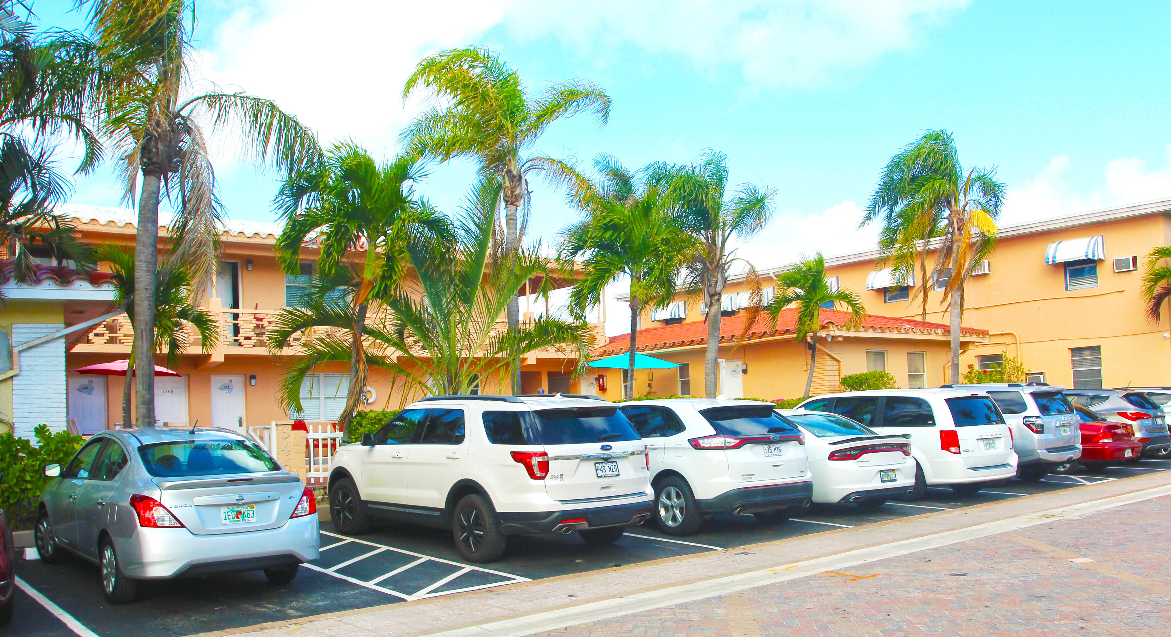 A row of parked cars in a parking lot with palm trees and a building in the background.