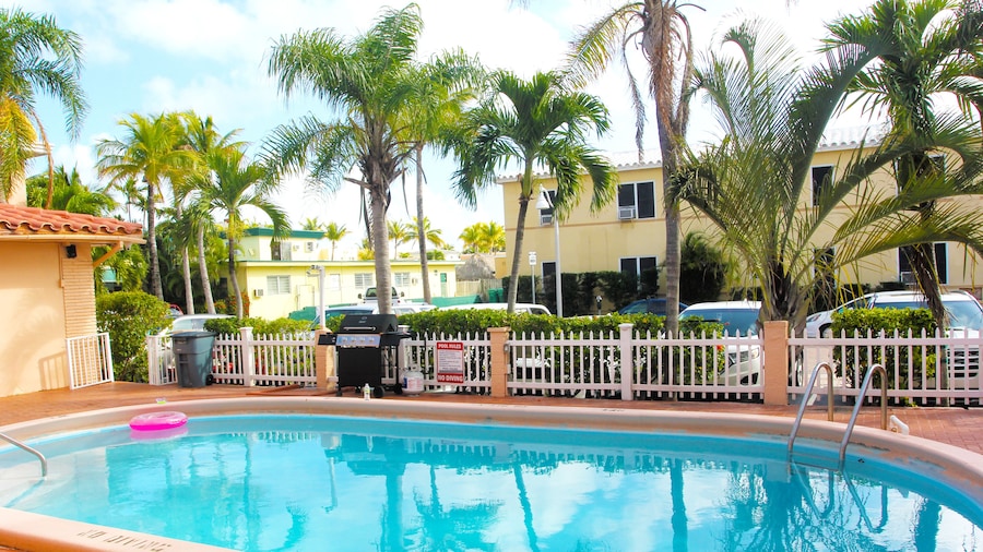 Hollywood Beach Swan