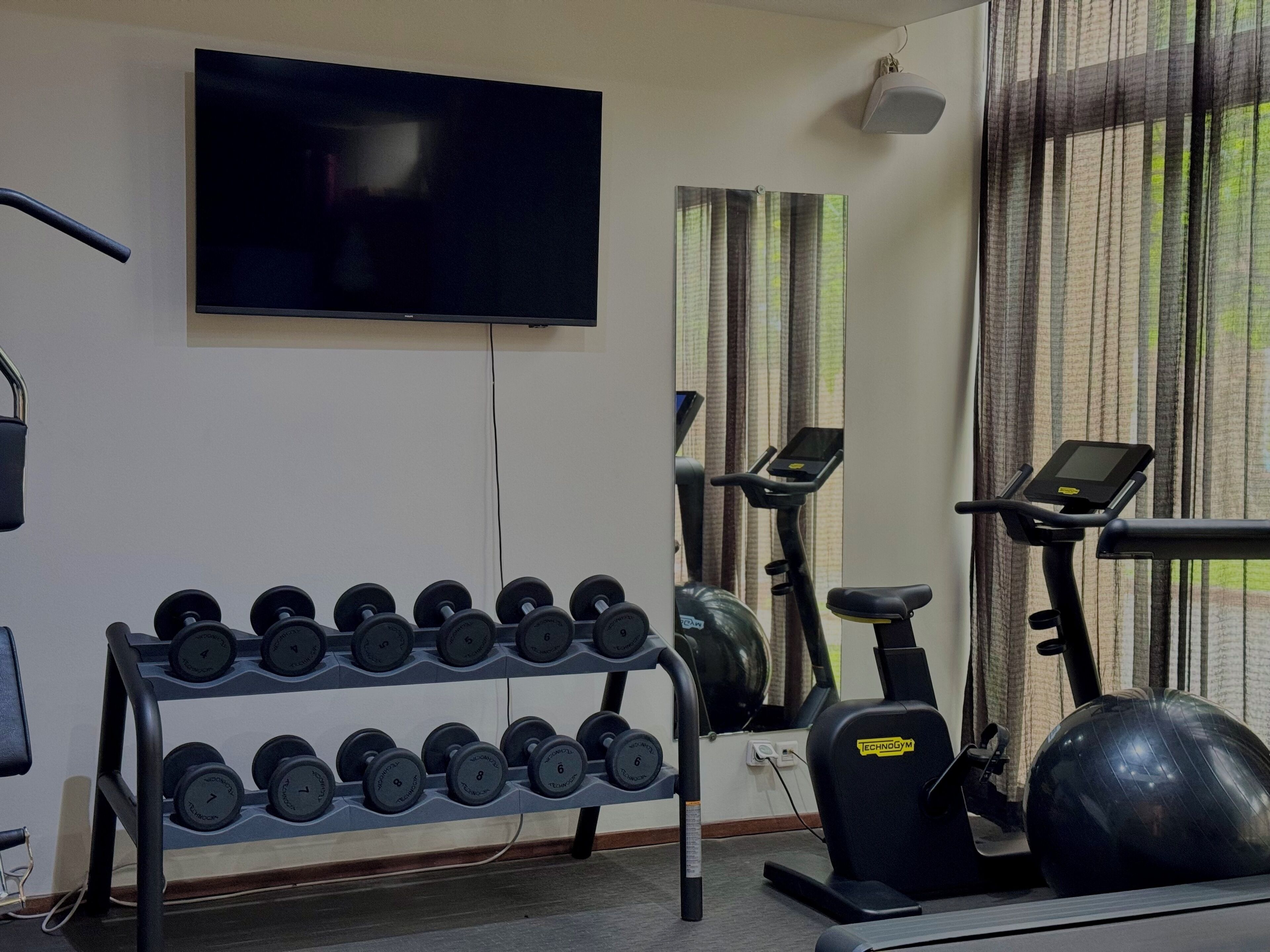 Une salle de sport équipée d’un téléviseur, d’haltères, de tapis de course et de ballons d’exercice.