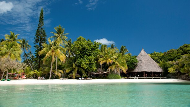 A beach with a thatched-roof hut, palm trees, and a clear blue sky.