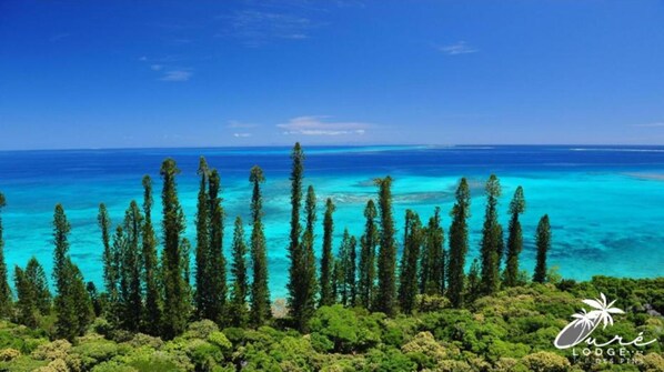 Ubicación a pie de playa, tumbonas, toallas de playa y remo o canoa