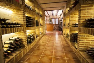 Bodega de vino