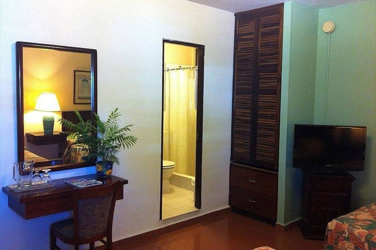 A hotel room with a desk, chair, television, wardrobe, and a bathroom with a shower curtain.