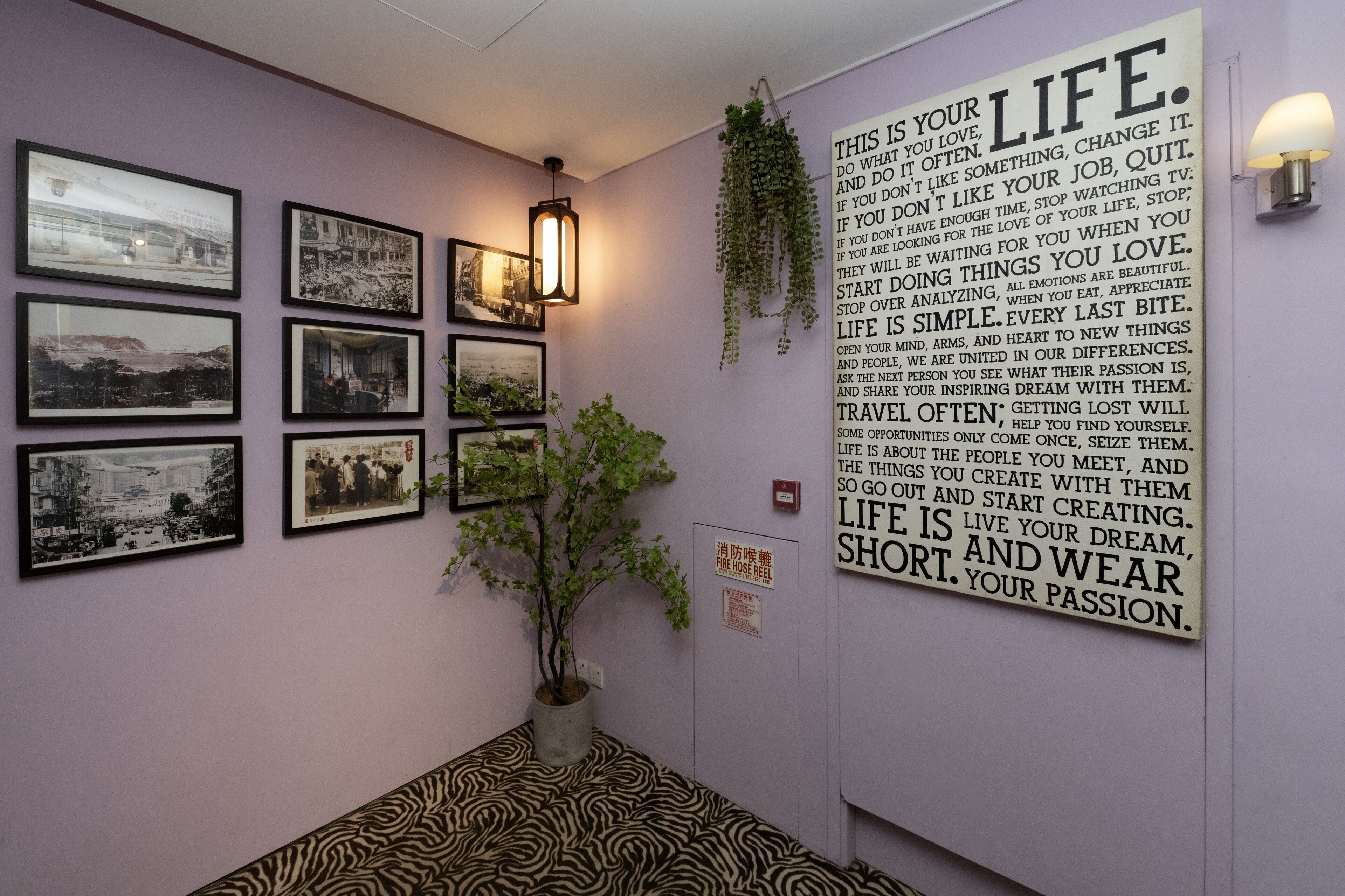 Un couloir orné de photographies en noir et blanc encadrées, avec une plante en pot et une citation inspirante.