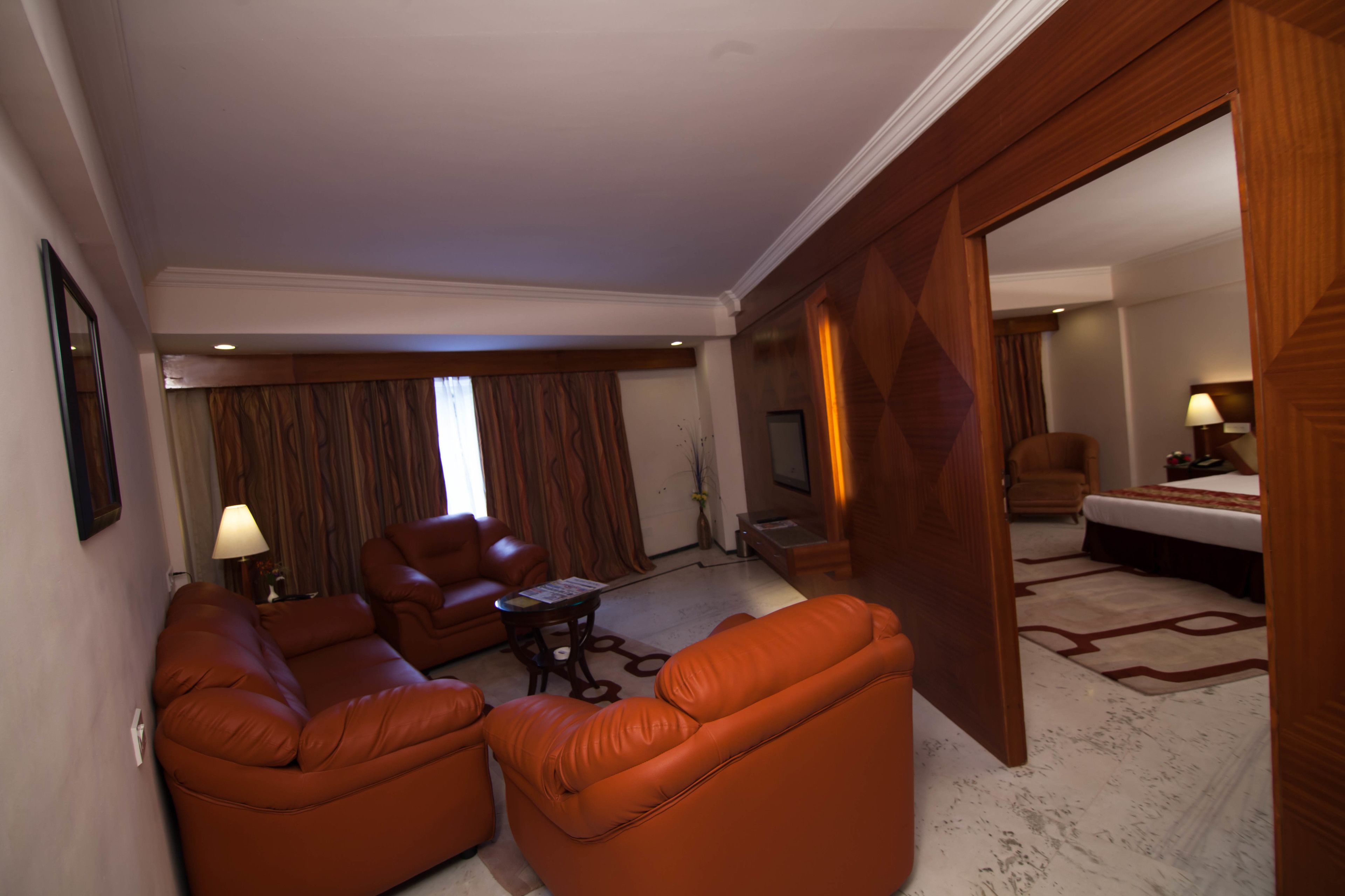 deluxe suite | living area | tv