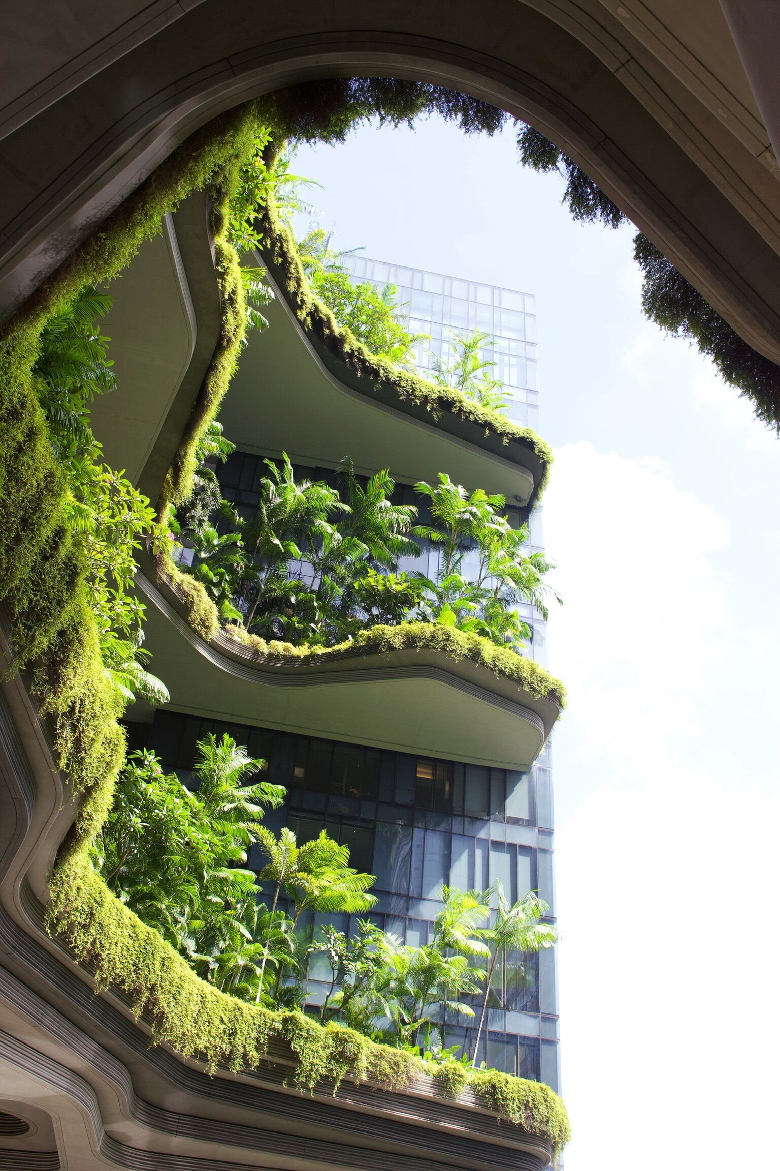 A building with multiple balconies covered in greenery.