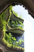A building with multiple balconies covered in greenery.
