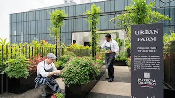 A rooftop garden with two gardeners tending to plants, a sign for Urban Farm, and a sign for Parkroyal Collection.