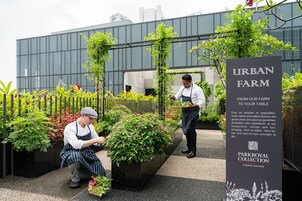 A rooftop garden with two gardeners tending to plants, a sign for Urban Farm, and a sign for Parkroyal Collection.