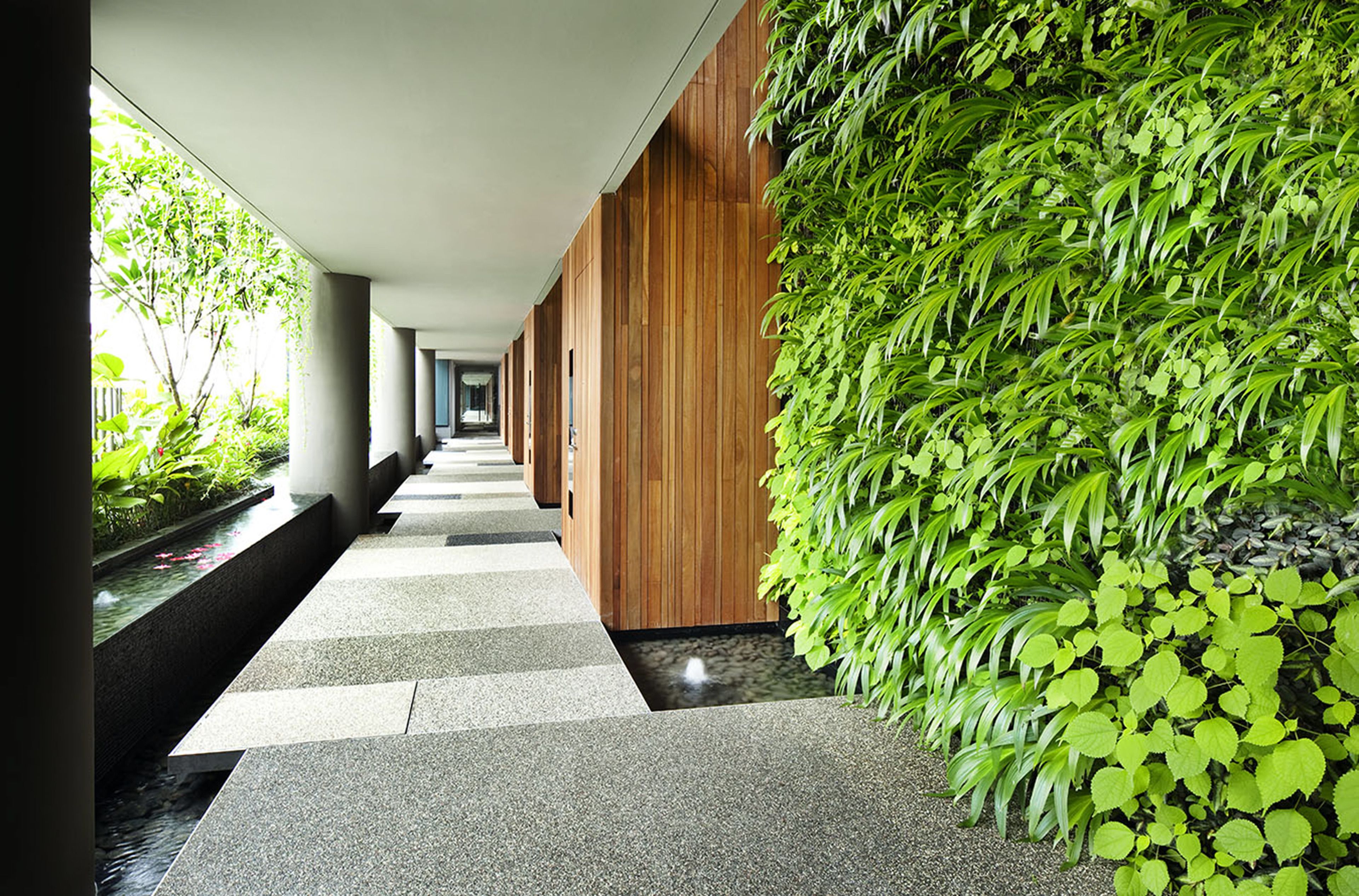 A corridor with a wooden wall and a green plant wall, leading to a room with a window.