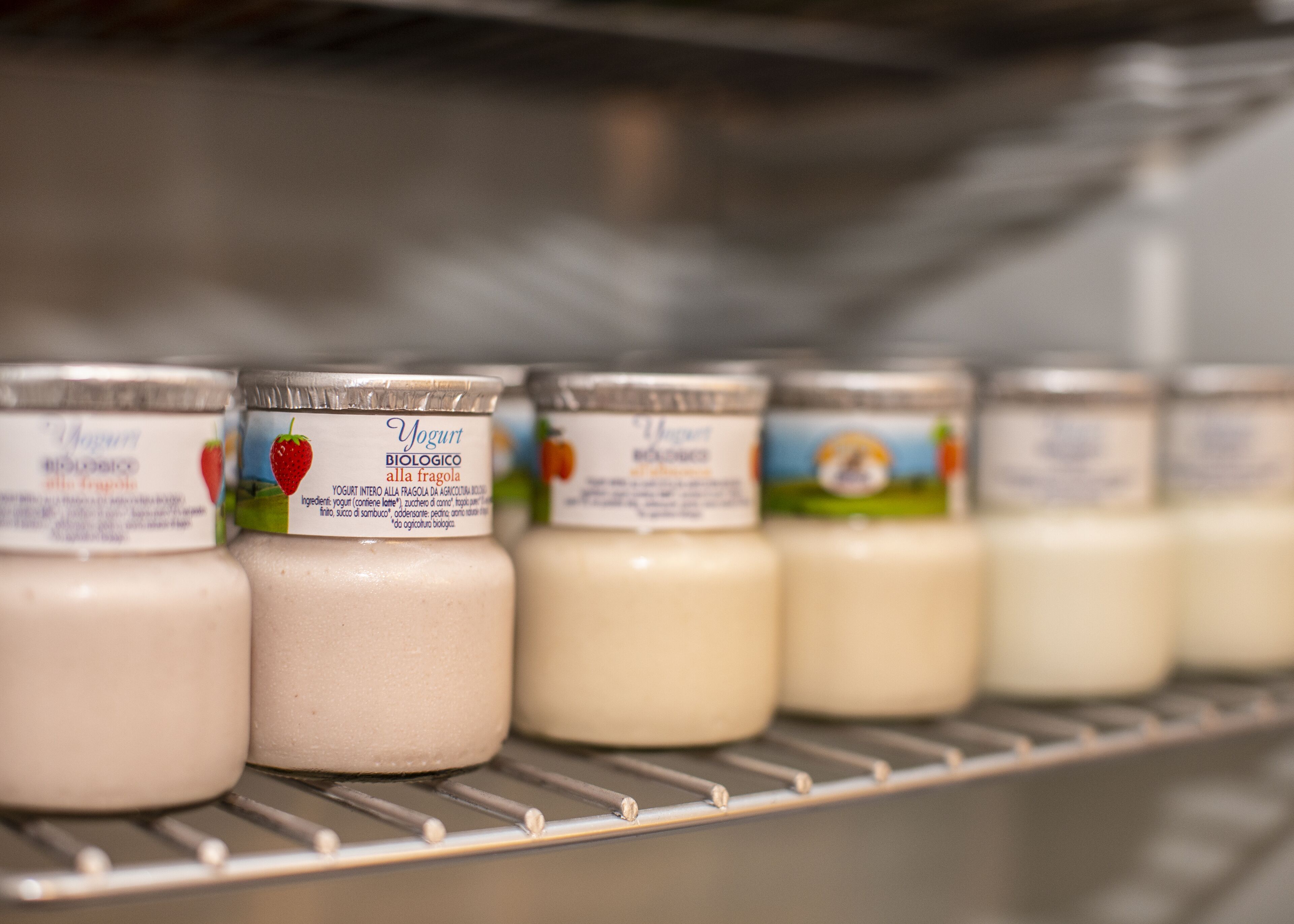 A refrigerated shelf with multiple containers of yogurt.