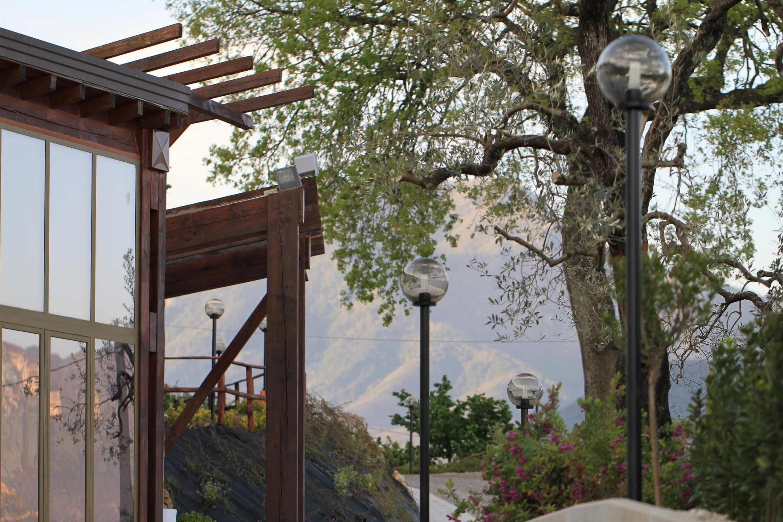Una estructura de pérgola de madera con puerta de vidrio, una farola y un árbol con flores rosadas al fondo.