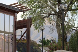 A wooden pergola structure with a glass door, a street lamp, and a tree with pink flowers in the background. - aCasaMia Wine Resort - Borgo Salella (San Cipriano Picentino)
