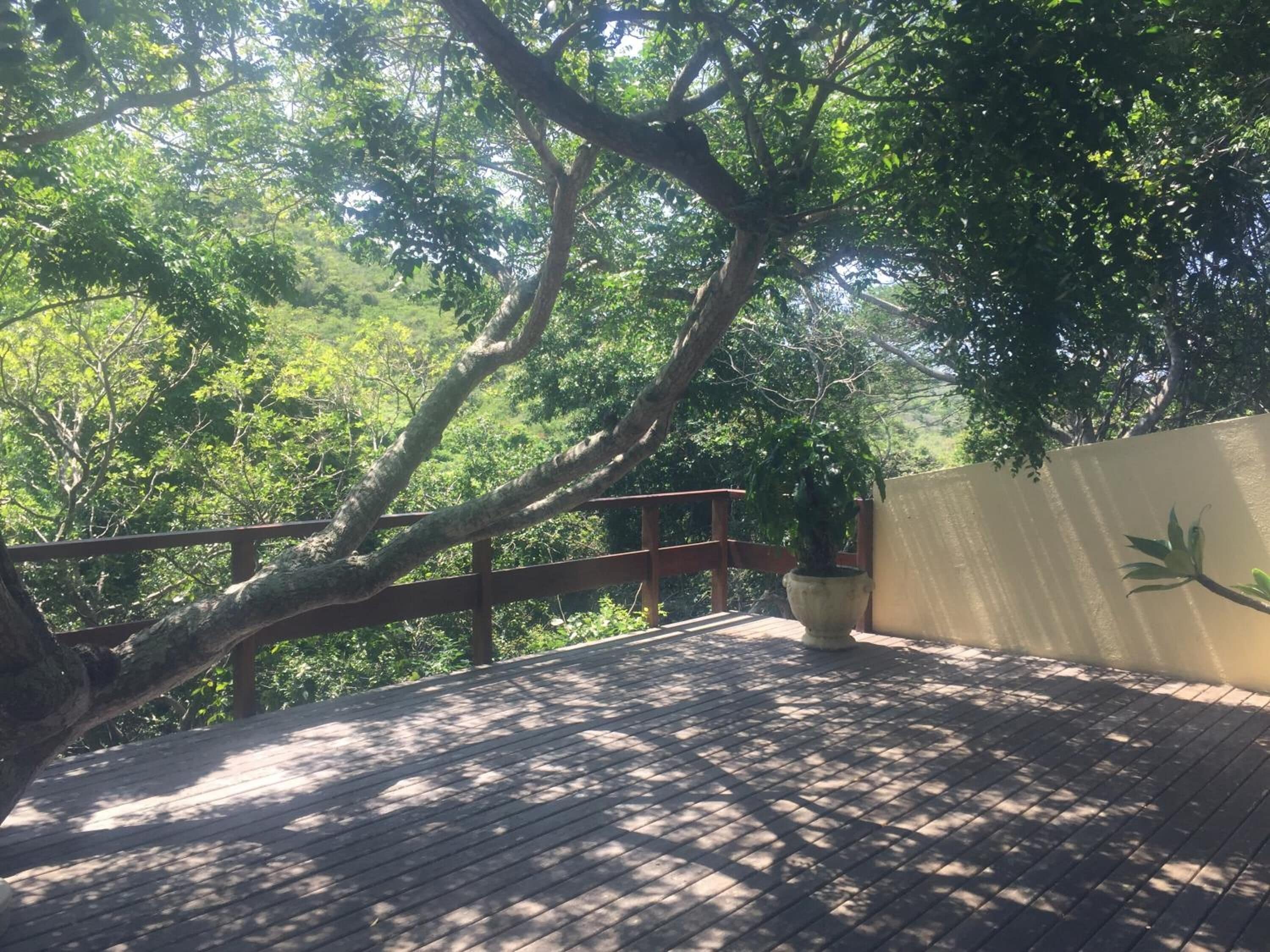 Foto - Barlavento Suites