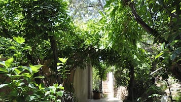 Jardin
