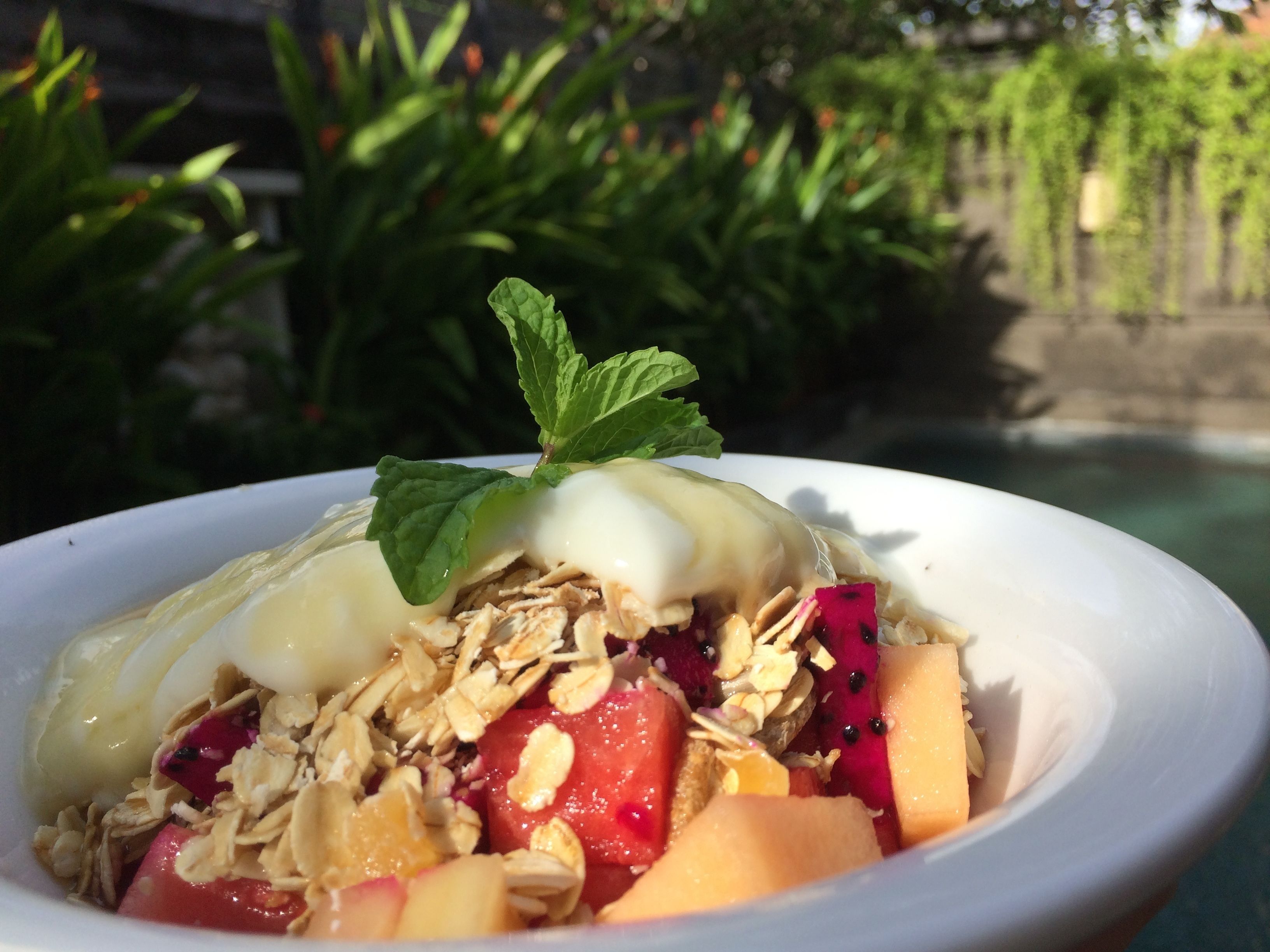 A bowl of fruit salad with granola and a dollop of cream, garnished with a mint leaf, set against a blurred outdoor background.