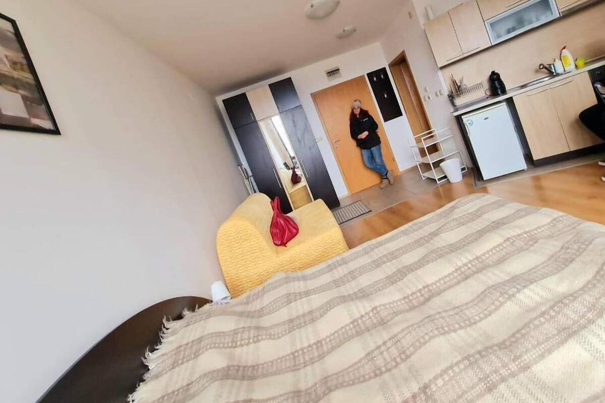 A modern living room with a sofa, a bed with a striped blanket, and a kitchen area in the background.
