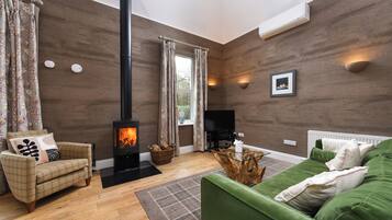 A modern living room with a wood-burning stove, a green sofa, a plaid armchair, and a flat-screen TV.