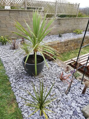 Jardim