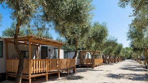 Une rangée de maisons mobiles dotées de terrasses en bois et de vérandas, entourées d’oliviers.
