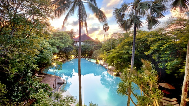 A clear view of a swimming pool surrounded by lush greenery and palm trees, with a building in the background. - Hotel Kumala Pantai (Legian)
