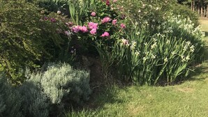 Un jardin avec différentes plantes et fleurs, une serre et un bâtiment doté d’un balcon.