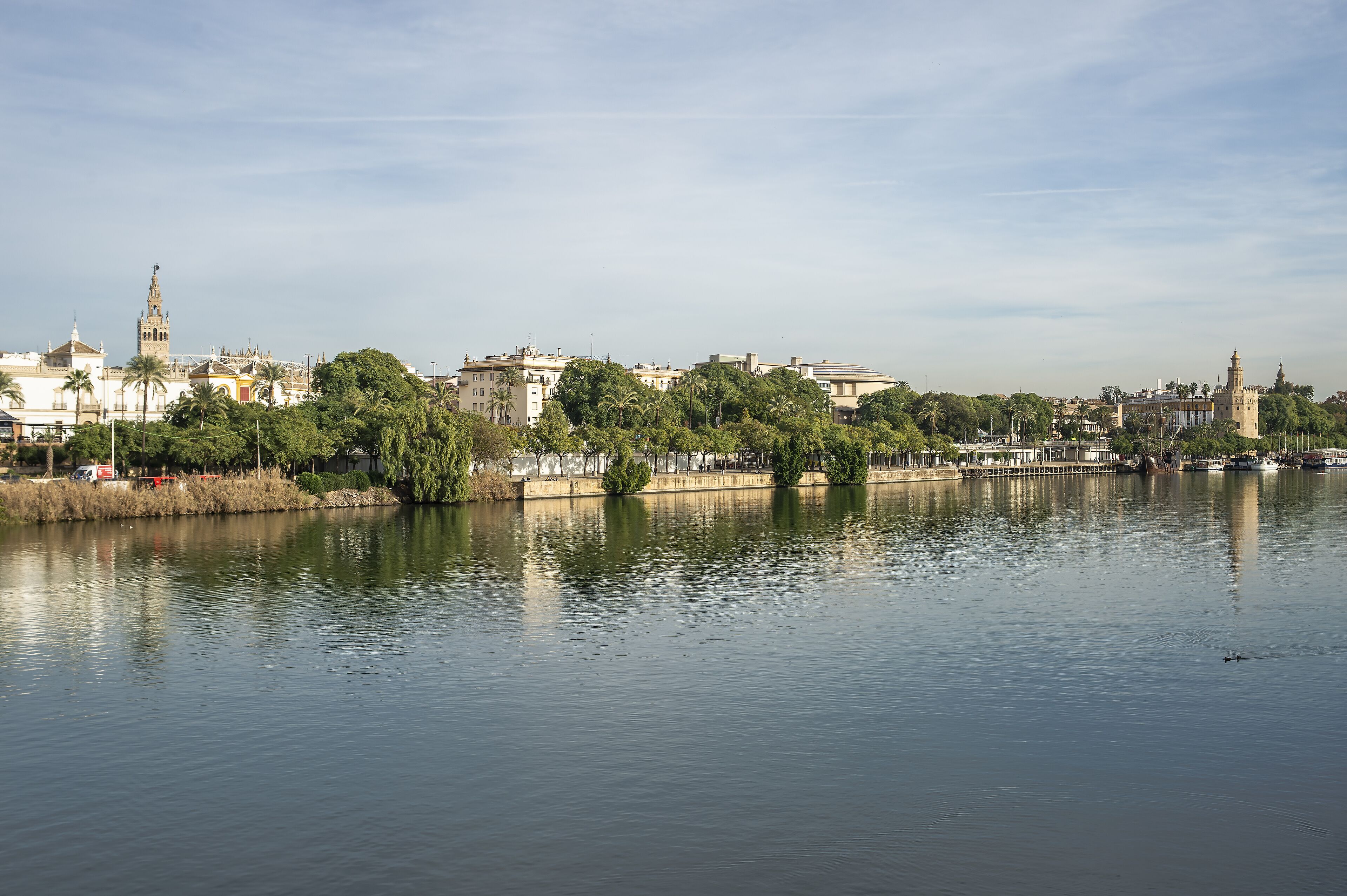 Un río tranquilo con un paisaje urbano al fondo, incluyendo edificios históricos y una torre destacada.