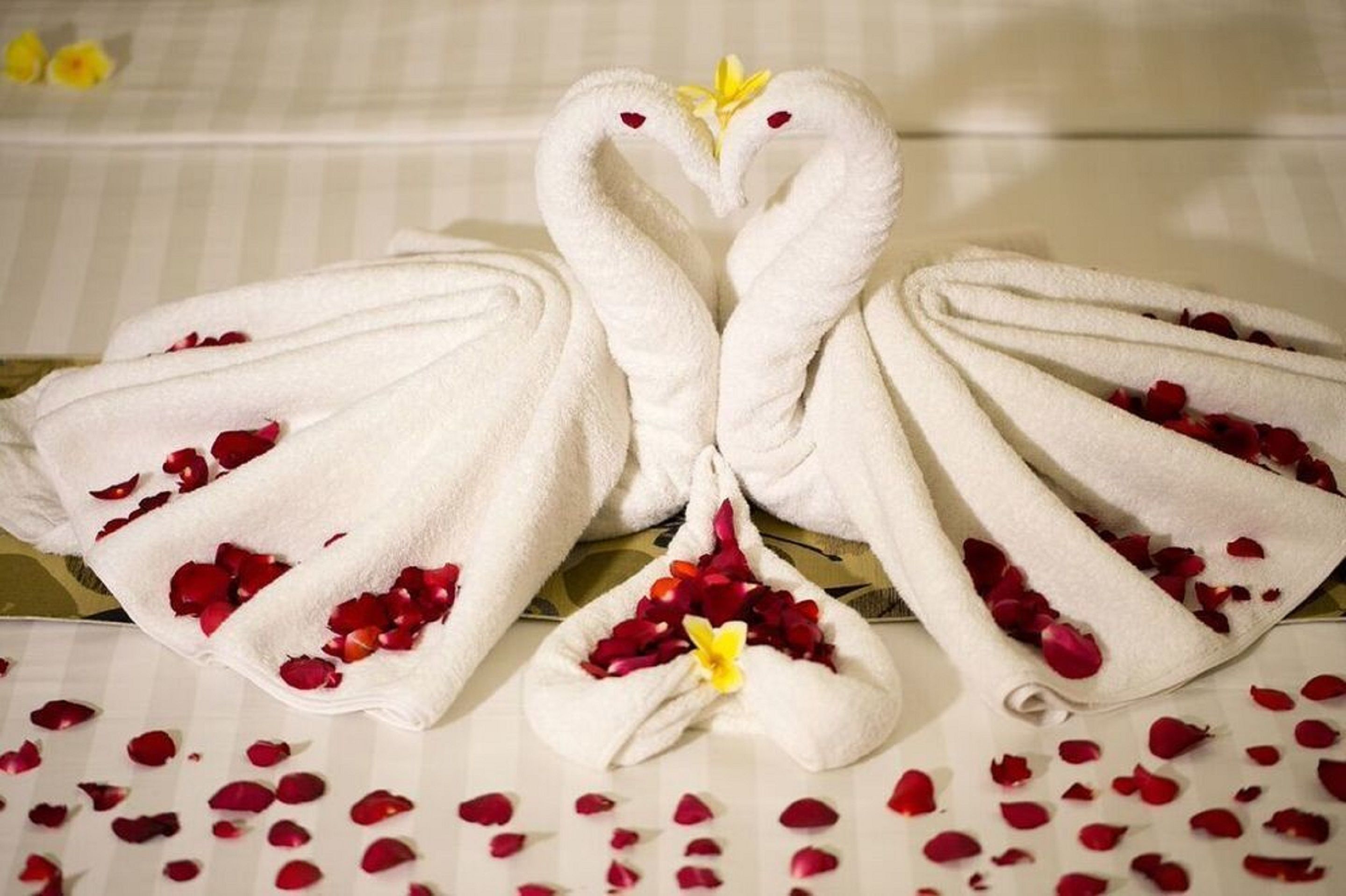 A towel art display with two towels shaped like swans, adorned with rose petals and a yellow flower.