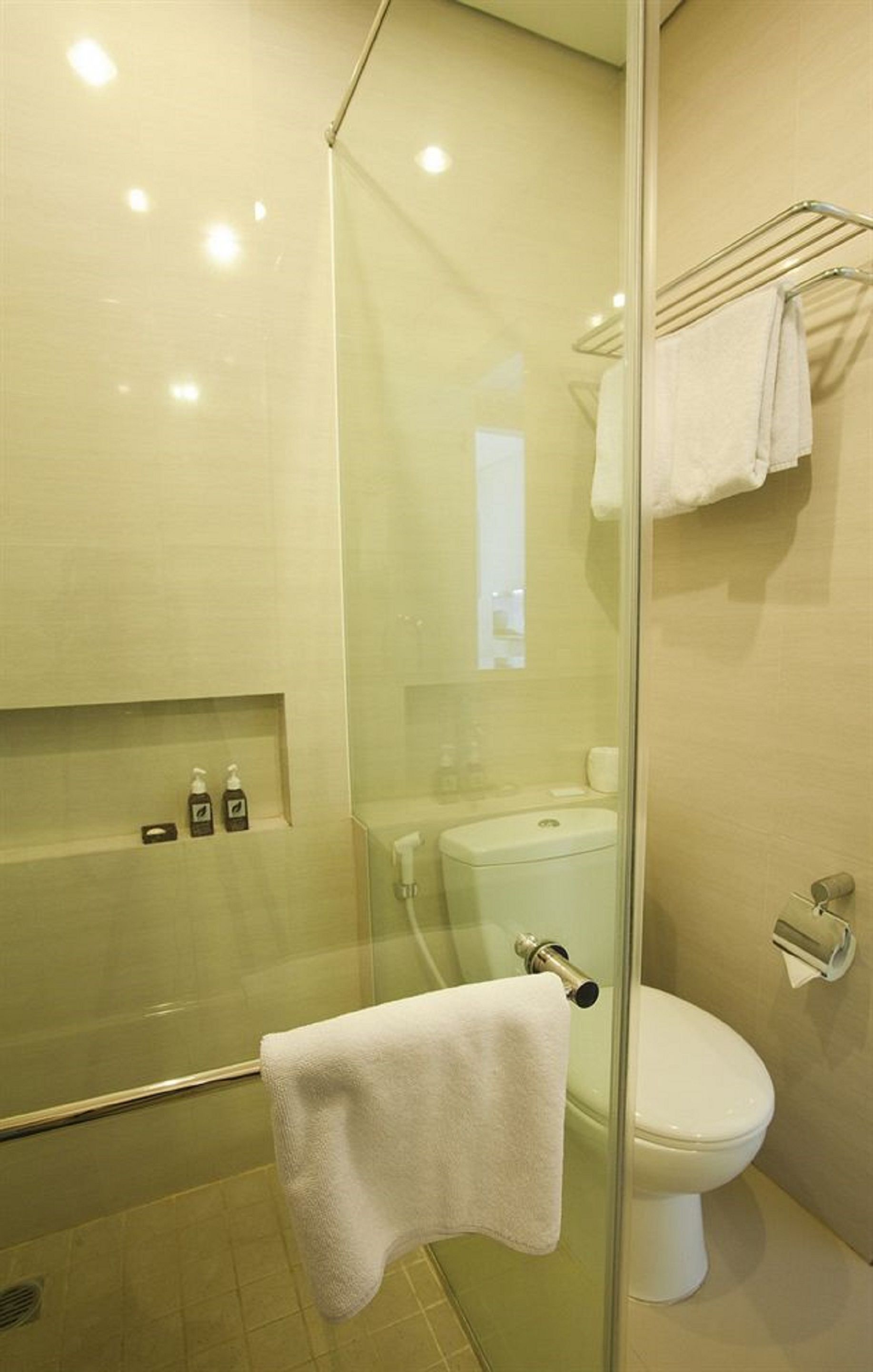 A modern bathroom with a glass shower enclosure, a toilet, and a towel rack.