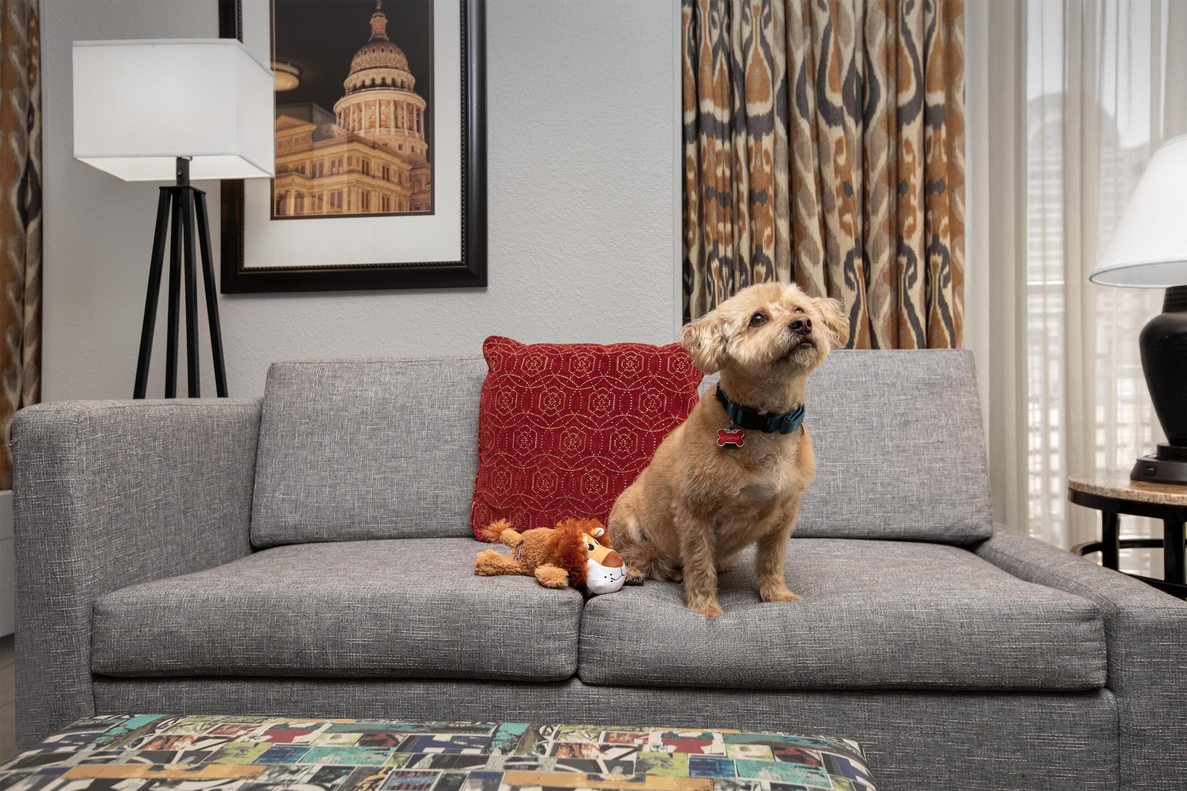 premium bedding, in-room safe, desk, laptop workspace